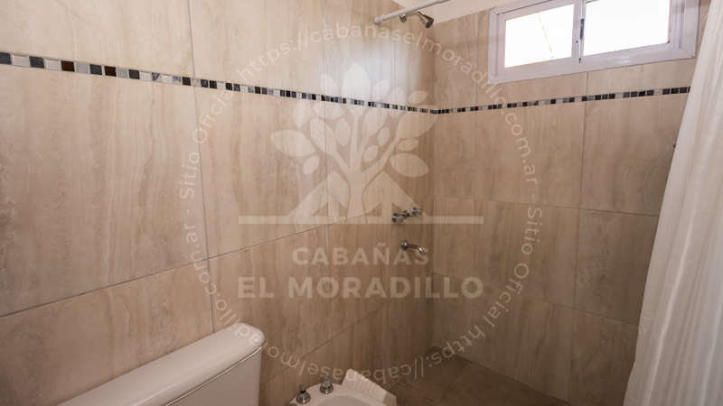 Imagen cargada de forma dinámica