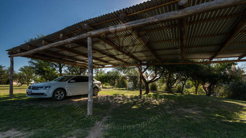 Imagen cargada de forma dinámica