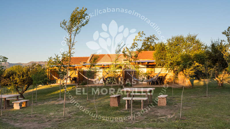 Imagen cargada de forma dinámica