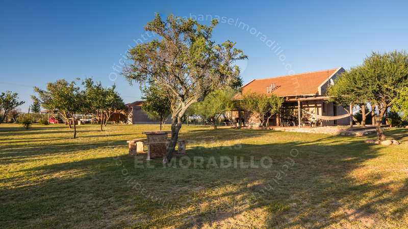 Imagen cargada de forma dinámica