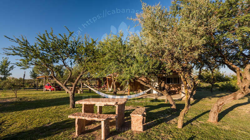 Imagen cargada de forma dinámica