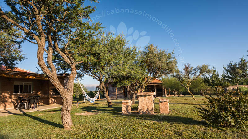 Imagen cargada de forma dinámica