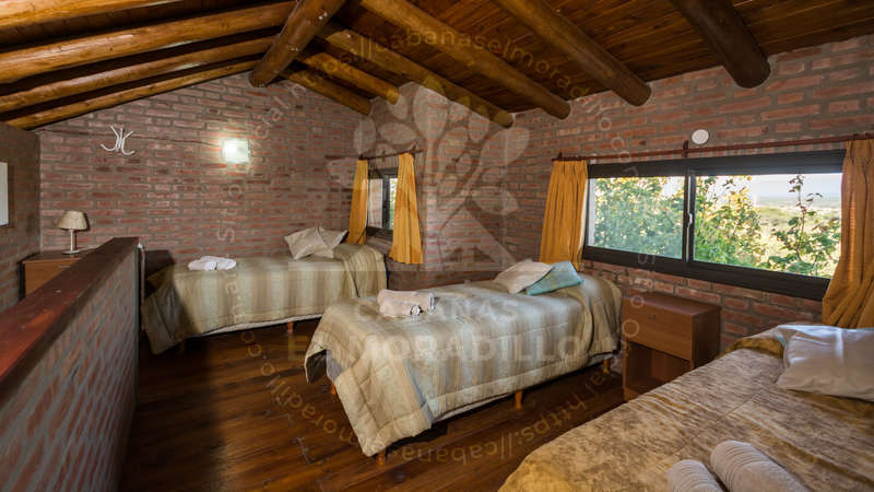 Imagen cargada de forma dinámica