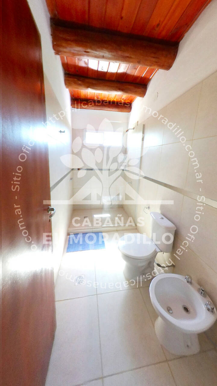 Imagen cargada de forma dinámica