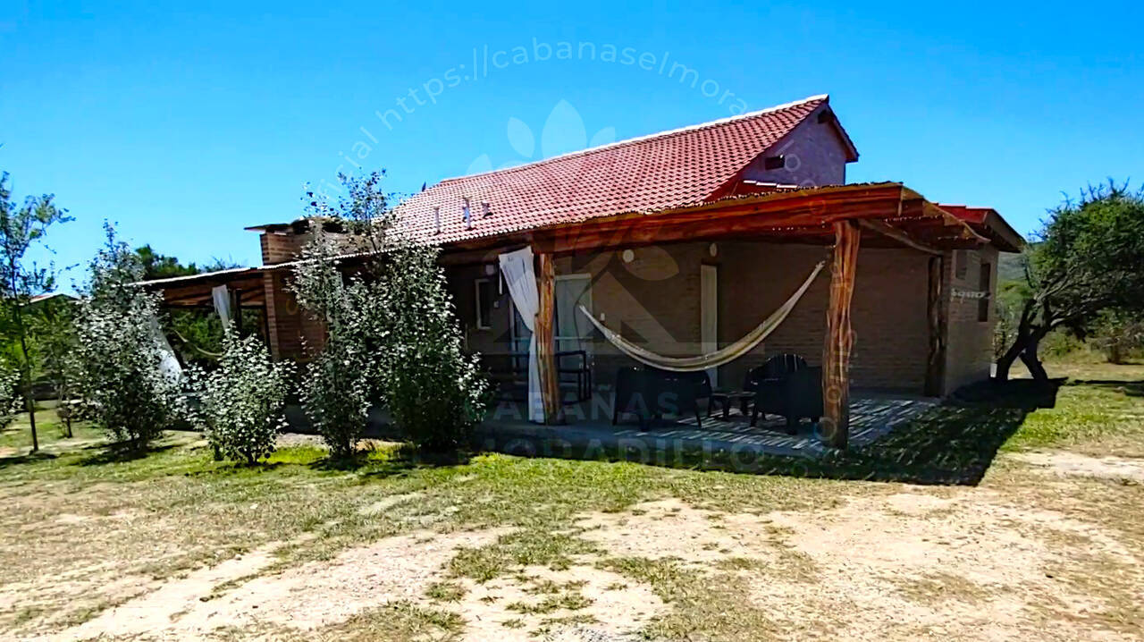 Imagen cargada de forma dinámica